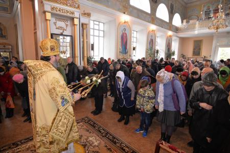 �������� �����������