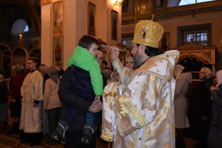 �������� �����������