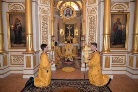 �������� �����������