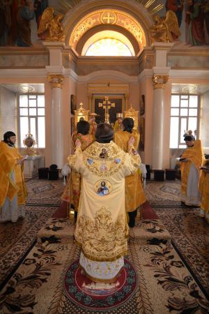 �������� �����������