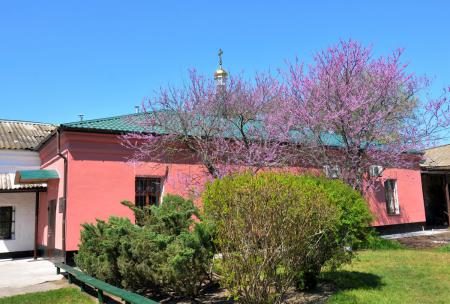 � �������-���� ������� ���� ������������ �����