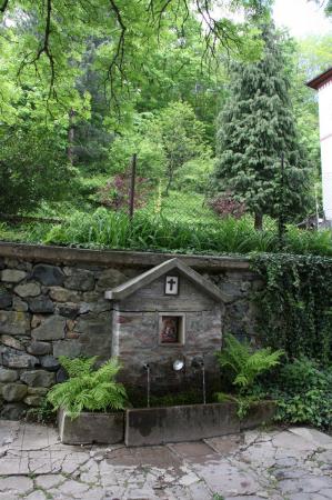 ���������� ��������� ���������� � ���� � ������� �� ������ ���� ����