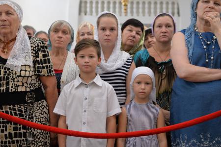 � ������� ���������� ������������ 220-����� ��������� ���������� ������