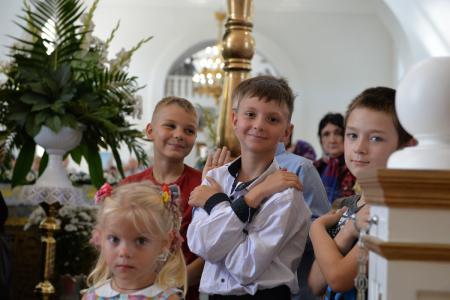 � ������� ���������� ������������ 220-����� ��������� ���������� ������