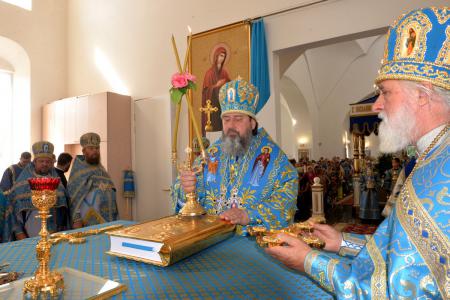 � ������� ���������� ������������ 220-����� ��������� ���������� ������