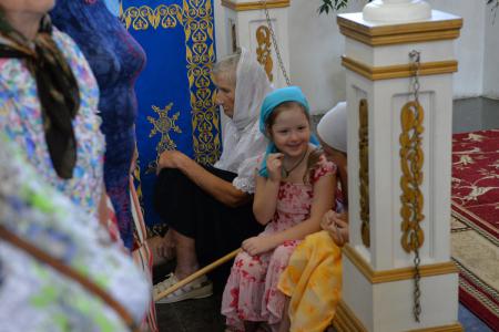 � ������� ���������� ������������ 220-����� ��������� ���������� ������