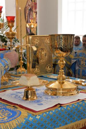 � ������� ���������� ������������ 220-����� ��������� ���������� ������