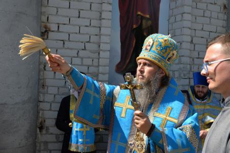 � ������� ���������� ������������ 220-����� ��������� ���������� ������