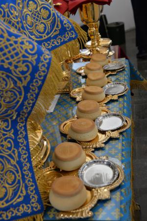 � ������� ���������� ������������ 220-����� ��������� ���������� ������