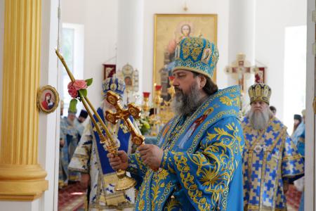 � ������� ���������� ������������ 220-����� ��������� ���������� ������