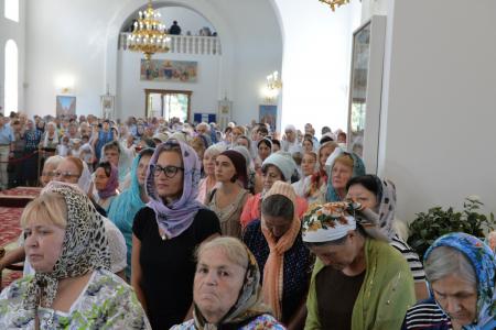 � ������� ���������� ������������ 220-����� ��������� ���������� ������