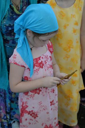 � ������� ���������� ������������ 220-����� ��������� ���������� ������