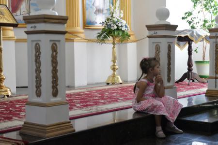 � ������� ���������� ������������ 220-����� ��������� ���������� ������