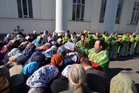 ������������ ��� ������ ������������ ���������� ����������� (+�����)
