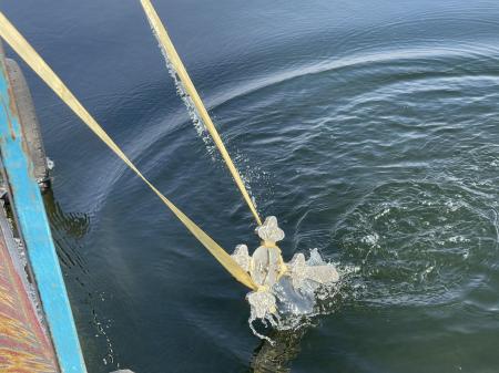 � �������� �������� �������� ���������� ���������� � ����������� ����� ������� ���� ������ (+�����)