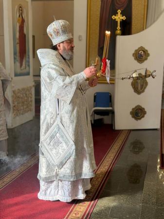 ������ ��������