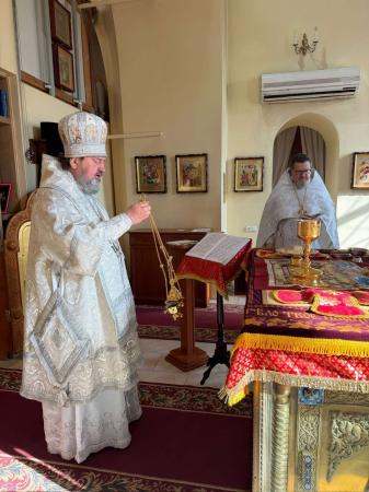 ������ ������