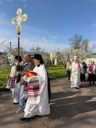 ������ ������